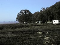 New Forest Brockenhurst - Caravan Site